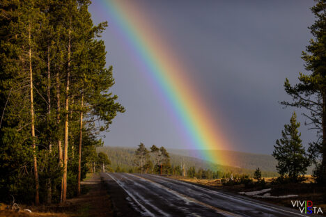 U.S. Highway 191, Yellowstone NP, Wyoming, USA