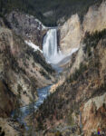 Lower Yellowstone Falls, Yellowstone NP, Wyoming, USA