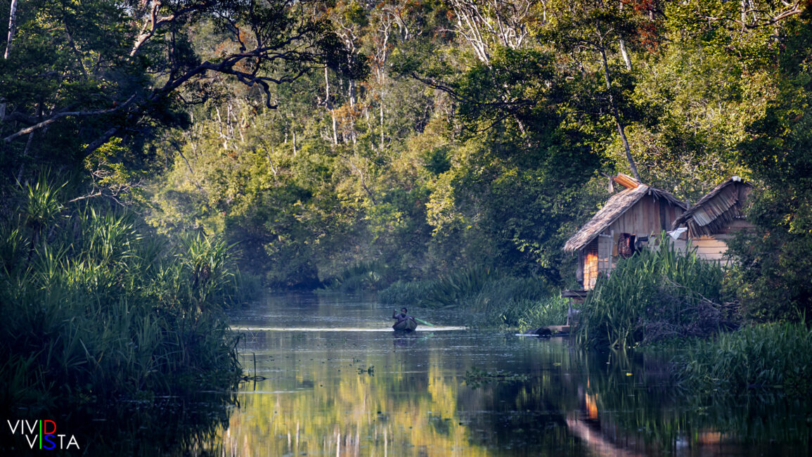 Sekonyer River at the border of Tanjung NP on Borneo 1F0A2548-1240_vividvista