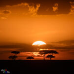 The sun sets over the Serengeti in NE Tanzania 1F0A6574 b_vividvista