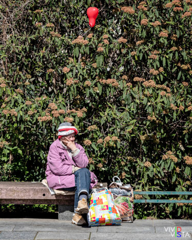 A lost red ballon is caught in a hedge behind an elderly woman on a bench at Gendarmenmarkt in Berlin 1F0A8065_vividvista