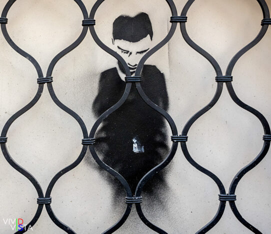 Stencil Graffiti behind an iron grid in the Hedwigsgasse in Berlin 1F0A8080_vividvista