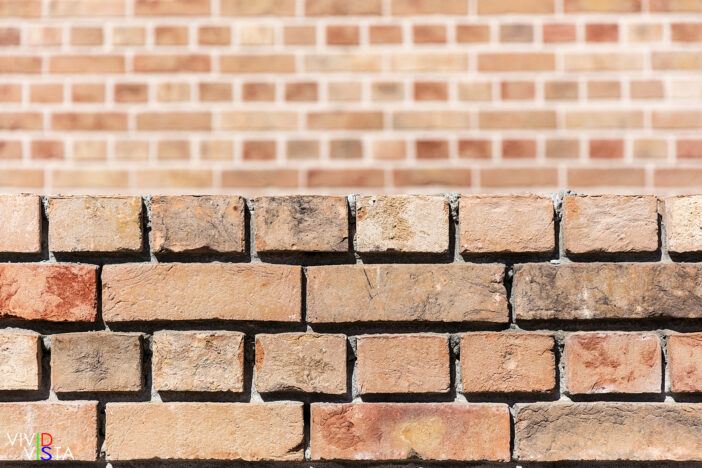 A wall in Tucholskystrasse in Berlin 1F0A8207_vividvista