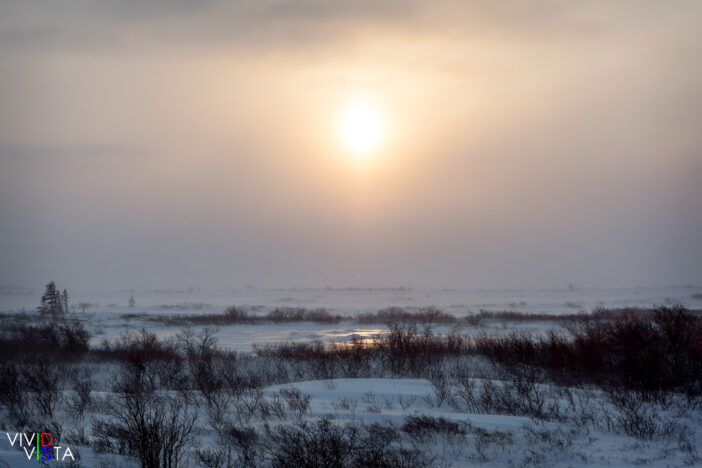 The sun breaks through fog at Wapusk NP in Manitoba, Canada IMG_0049_vividvista