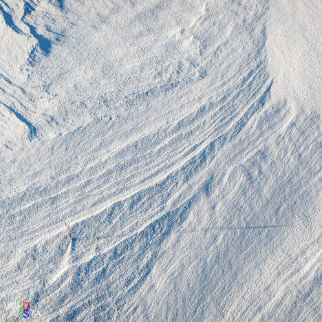Plant stalks throw long shadows in the low winter sun in Wapusk NP, Manitoba, Canada IMG_3258_vividvista