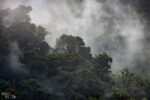 Cloudforest, San Gerardo de Dota, Costa Rica _R3A8739-CR3__dxo3