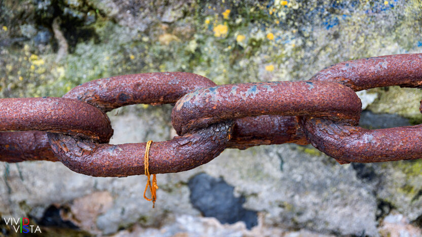 Strung Together, Puerto de Mundaka, Coast of Biscay, Spain