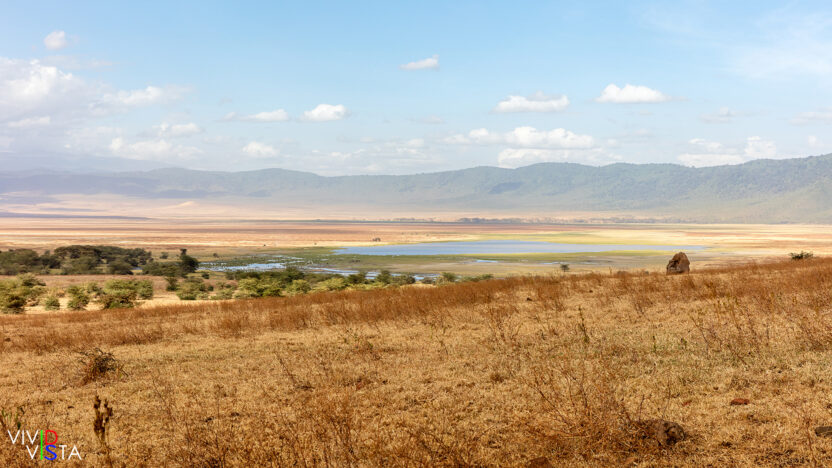 Savannah, Grassland, Forest, Swamp and a Saline Lake in the Ngorongoro Crater in Tanzania