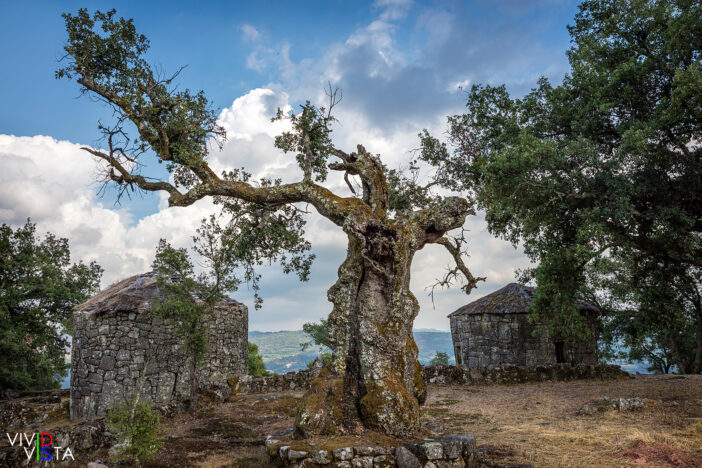 Citânia de Briteiros, Portugal