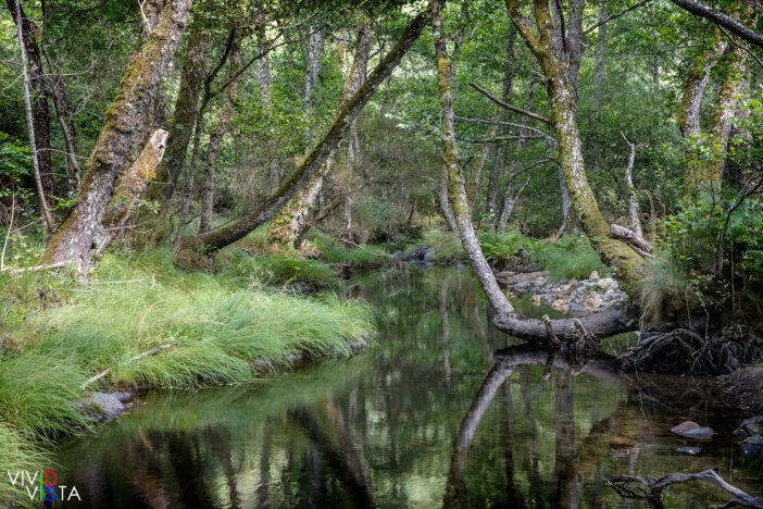 Hidden River Bank, PN de Montesinho, Portugal