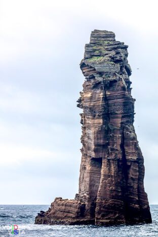 Rock Tower, Ilheu da Vila Franca, São Miguel, Azores, Portugal