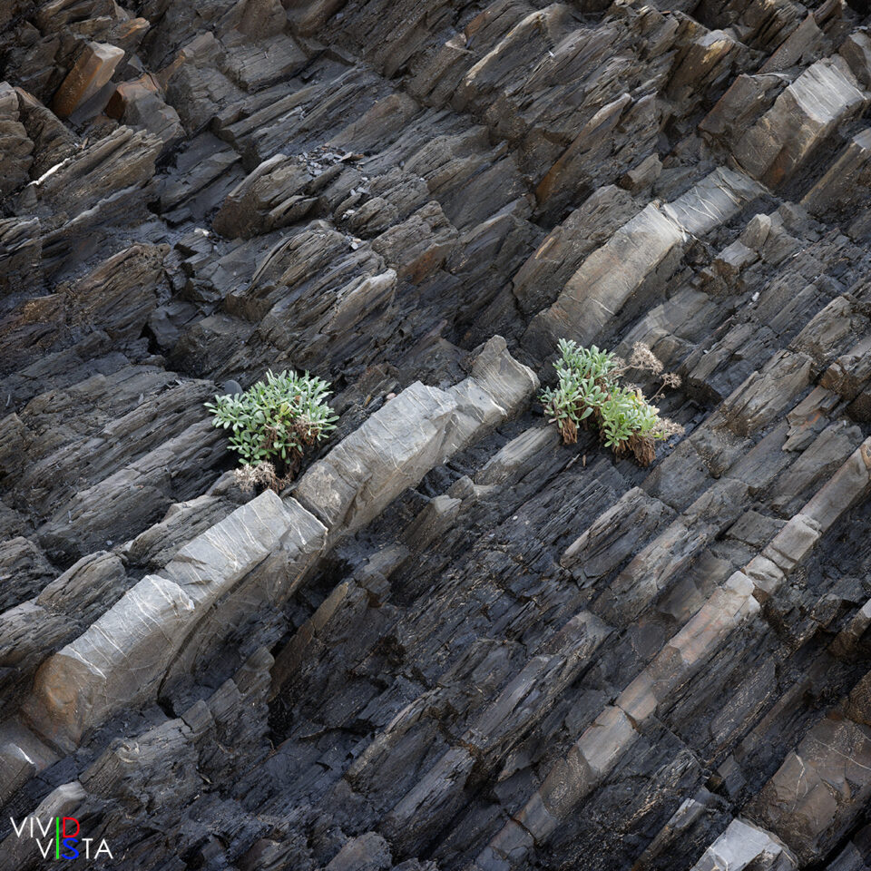 Flysch, Praia de Cordoama, Algarve, Portugal