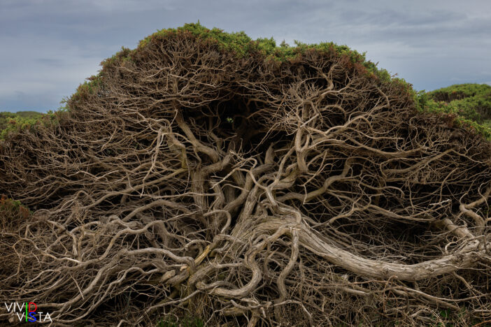 Cabo do São Vicente, Sagres, Algarve, Portugal